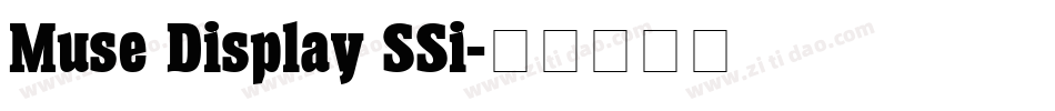 Muse Display SSi字体转换